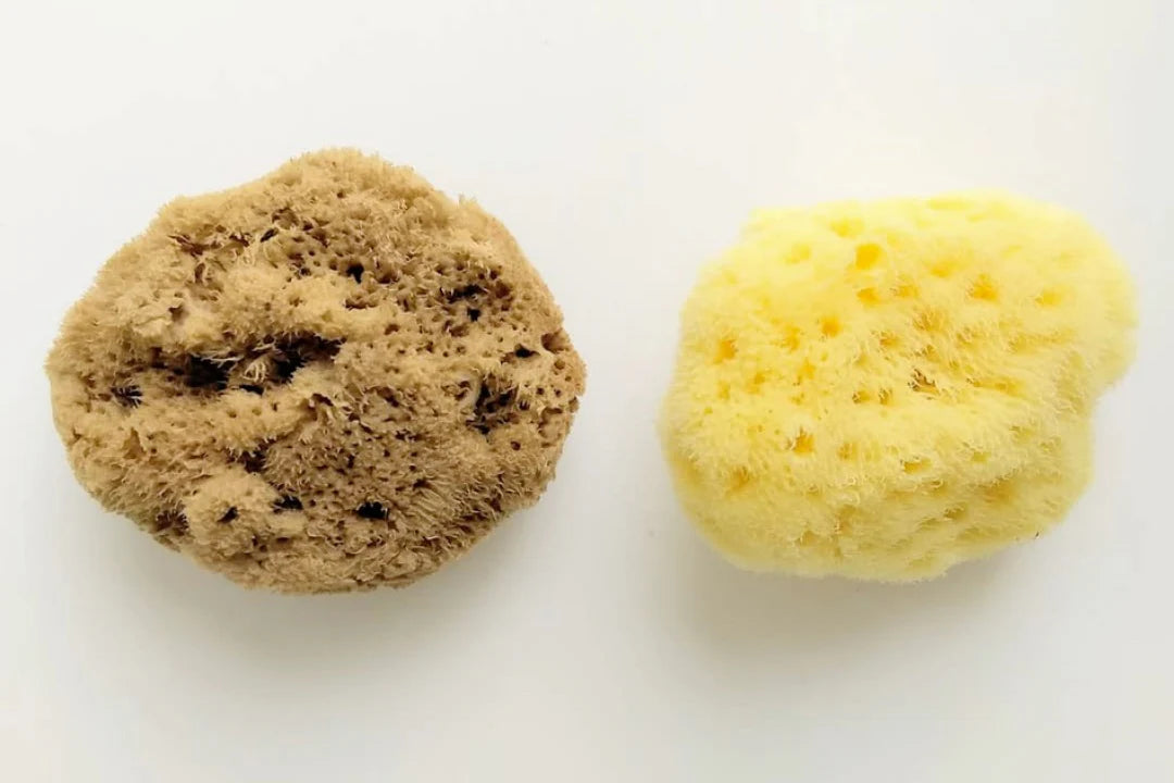 MEDITERRANEAN SEA SPONGE TAMPON - 3PACK